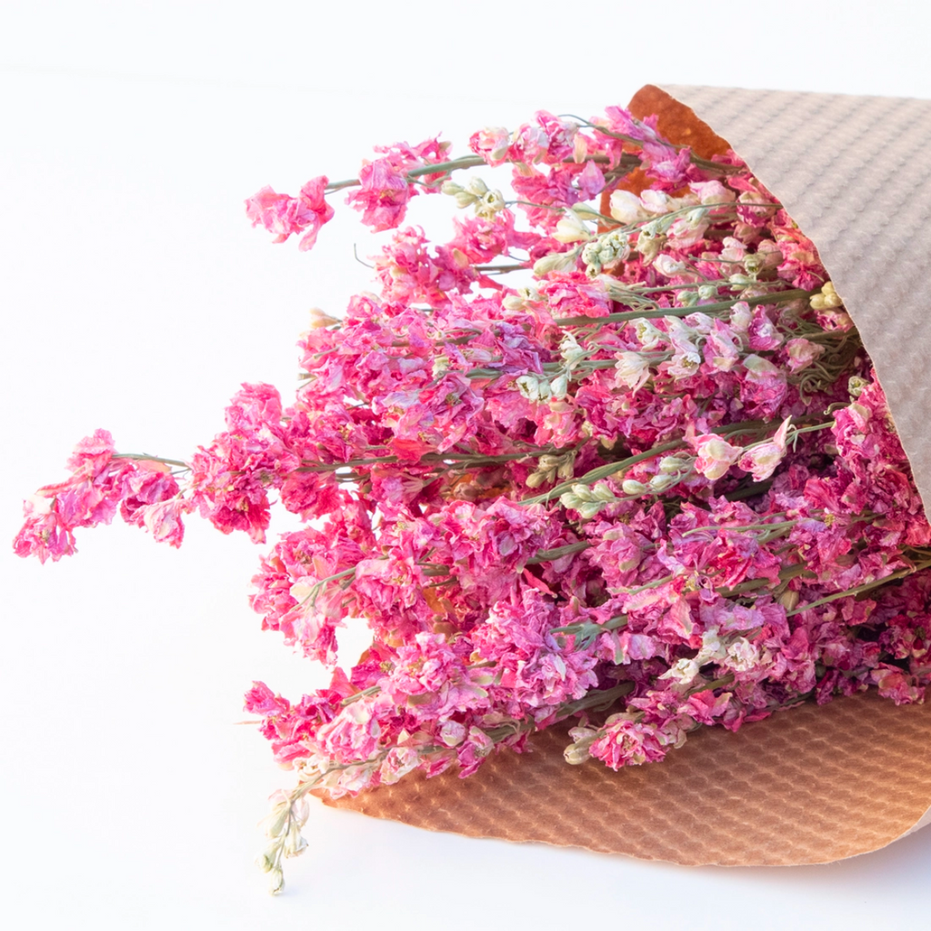 Assorted Dried Larkspur Flower Bundles